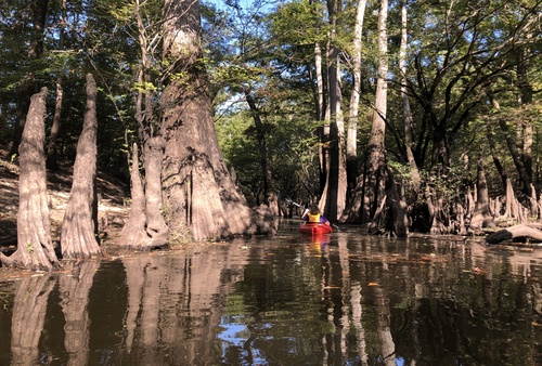 Bayou Dorcheat